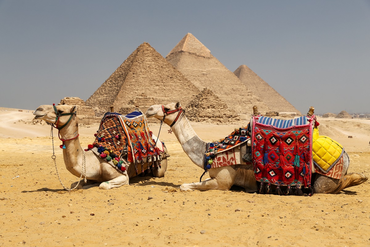 What is the best way to see Egypt in 9 days?