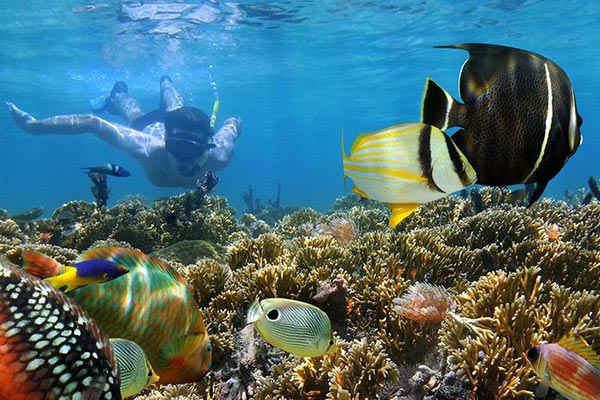 Snorkeling Trip & Excursion To Hurghada from Safaga Port